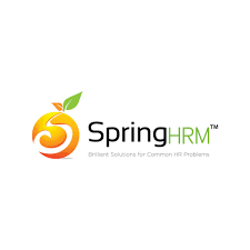 Logo For Spring Hrm Logo Design India How To Memorize