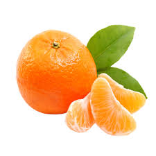 Orange tree, a word of uncertain origin. Sweet Orange Essential Oil à¤¸ à¤¤à¤° à¤• à¤¤ à¤² Natures Natural India New Delhi Id 19208081497