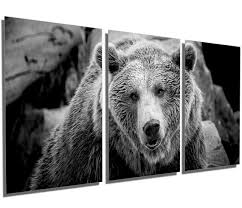Metal Print Grizzly Bear Black White