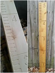 Home Depot Growth Chart Woodworking Projects Plans Growth
