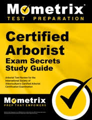 To work in the tree service sector and run your own business you need to become a certified arborist. X718kx5vrm54tm