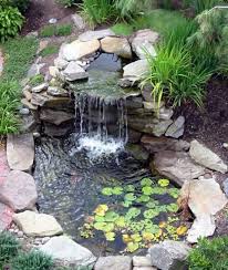 garden pond design waterfalls backyard