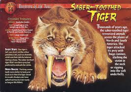 We did not find results for: Saber Toothed Tiger Smilodon Tiger Species Wild Creatures
