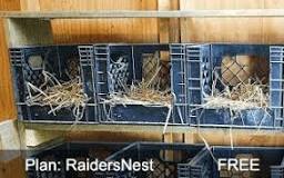 how-high-should-nesting-boxes-be-off-the-ground