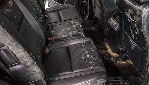 car mold removal mildew smell auto