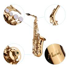 Horn was born in los angeles, and after replacing saxophonist steve douglas in 1959, he toured with member duane eddy for five years, playing sax and flute on the road, and in the recording studio. Jean Paul Usa As 400 Student Alto Saxophone Buy Online In Bangladesh At Bangladesh Desertcart Com Productid 14170396