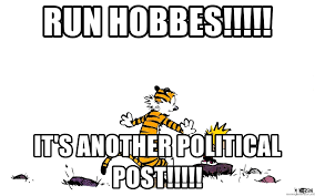 Image result for calvin and hobbes meme