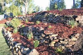 Rock Garden Design Using Drought