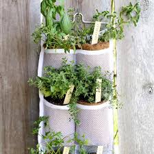 Hanging Herb Garden Diy And Benefits