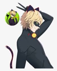 chat noir anime hd png