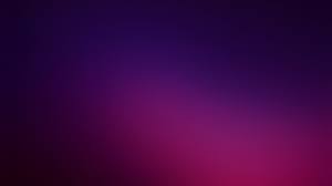 Download all photos and use them even for commercial projects. Purple Wallpapers 2560x1440 Desktop Backgrounds