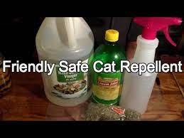 diy cat repellent you