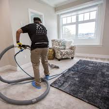 rug cleaning surrey bc the blind