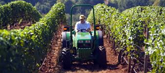 new tractors are designed for vineyards