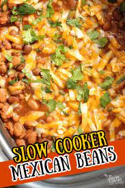 slow cooker mexican pinto beans diary