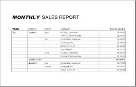 Monthly Report Templates Daily Sales Report Template Excel