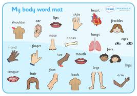 Free My Body Parts Download Free Clip Art Free Clip Art On
