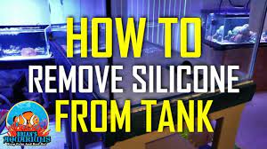 removing bulkhead silicone you