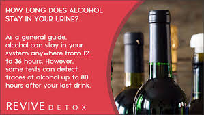 alcohol stay in your urine system
