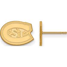 ss gold plated sterling silver with gp