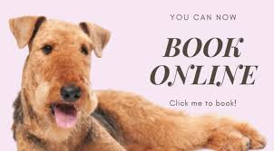 Find opening times for the nearest pet groomers and other contact details such as address, phone number, website. Dog Grooming And Cat Grooming In London Se12 Absolutely Animals Ltd