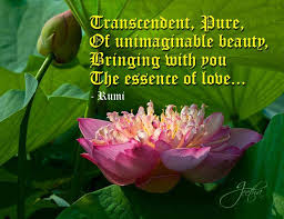 Image result for Rumi