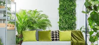 How Do You Build An Indoor Living Wall