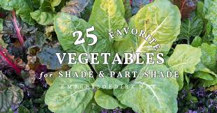 25 Vegetables You Can Grow In Shade