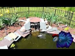 Benefits Of A Uv Sterilizer In A Pond Youtube