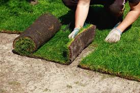 Because no one has time to sit around and watch grass grow. How To Lay Sod Next To Existing Grass