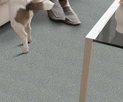 residential nylon carpet pegs carpets