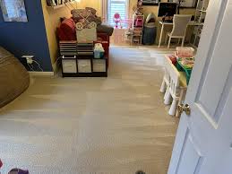 green carpet cleaning charlotte nc