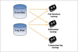 backup types sap library sap ms sql