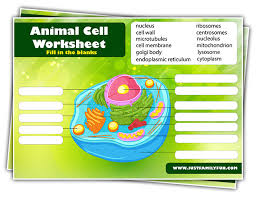 free printable cell worksheet