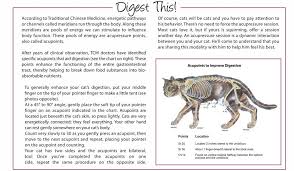 Enhance Your Cats Digestion With Acupressure Animal
