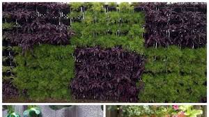 Vertical Gardens In Your Home Here Is