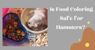 Is Food Coloring Safe For Hamsters