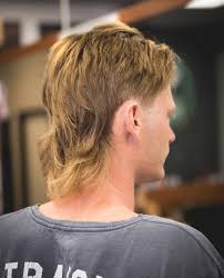 Most of the photos available depicting the mullet haircut are photos of men. Mullet Haircuts Party In The Back Business In The Front