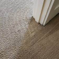 top 10 best carpet cleaning in seattle
