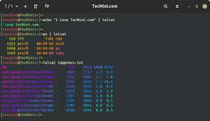 lolcat make your linux terminal more