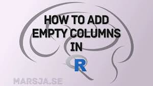 an empty column to a dataframe in r
