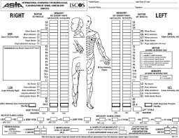 Asia Standard Neurological Classification Of Spinal Injury