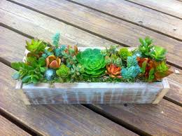A succulent centerpieces like this are very simple to put together the topic 'diy succulent centerpieces' is closed to new replies. 40 Succulent Centerpieces For Your Reception Table Weddingomania