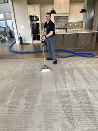 na carpet cleaning safe n soft