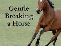 how-do-you-train-a-horse-to-break