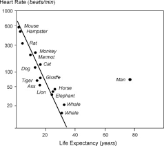 Is There Any Relationship Between Heartbeat Rate And Life