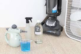 how to disinfect a carpet