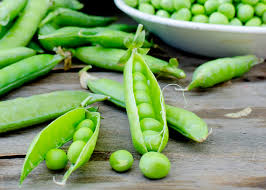how to grow peas thompson morgan