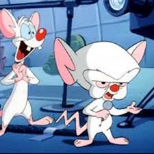 Two years ago i uplaoded instrumental intro of pinky and the brain. German Theme Pinky And The Brain Lyrics Song Meanings Videos Full Albums Bios