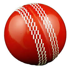 Image result for cricket ball